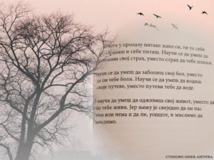 Read more about the article Из Дневника тихих хероја – Шта значи заједништво