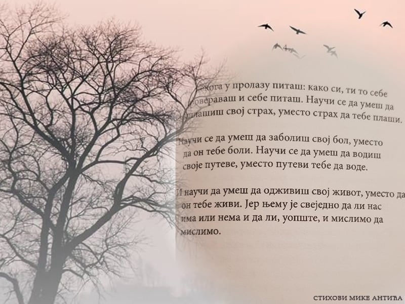 Read more about the article Из Дневника тихих хероја – Шта значи заједништво