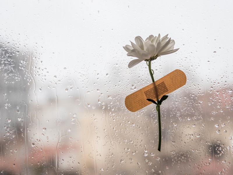 Read more about the article Међународни дан борбе против насиља над старијима