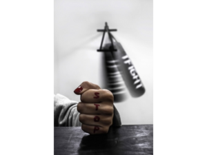 Read more about the article Едукација без провере знања „Могућност унапређења институционалног одговора на насиље у породици“